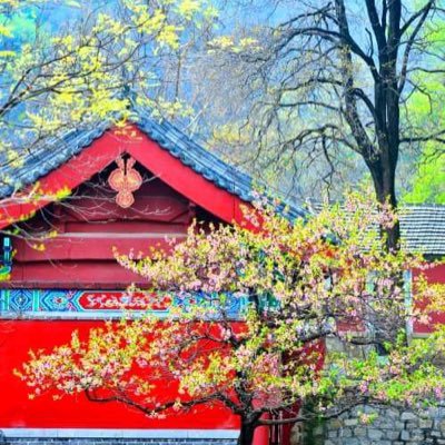 HTanaka123's profile picture. 健康こそが資産。妻を血液の癌で亡くした時は、私の人生で最も悲しい瞬間でした。