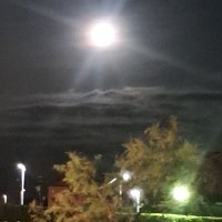 Aizgoien (@aizgoien) 's Twitter Profile Photo