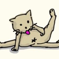 Alexis (@lexistwit) 's Twitter Profile Photo Alexis (@lexistwit) 's Twitter Profile Photo