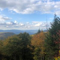 no one lives here (@julie_jo) 's Twitter Profile Photo