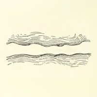 MoL: Media of Langue (@media_of_langue) 's Twitter Profile Photo