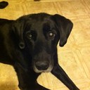 Rachel Strobel - @LizaSJane - Twitter