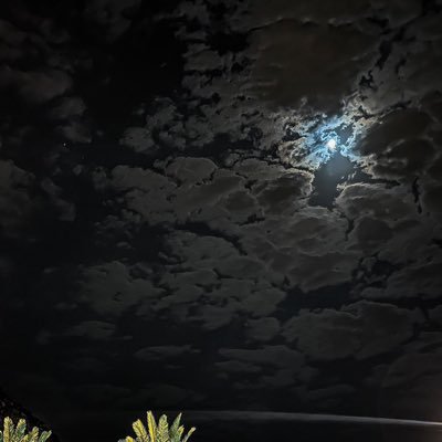 oxllez's profile picture. 