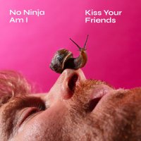 No Ninja Am I (@noninjaami) 's Twitter Profile