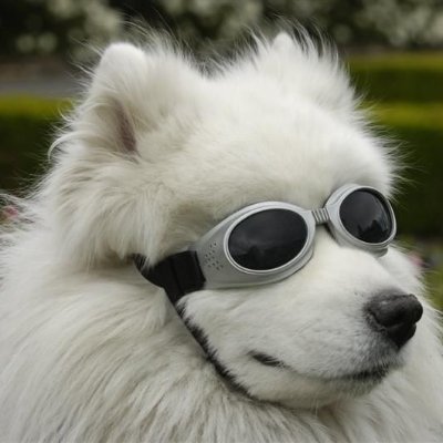 MattonCS's profile picture. 25 y/o. 3k elo bot playing for: Shadow Reapers talent team