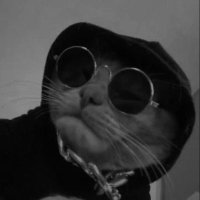 Kronopati (@kronopatii) 's Twitter Profile