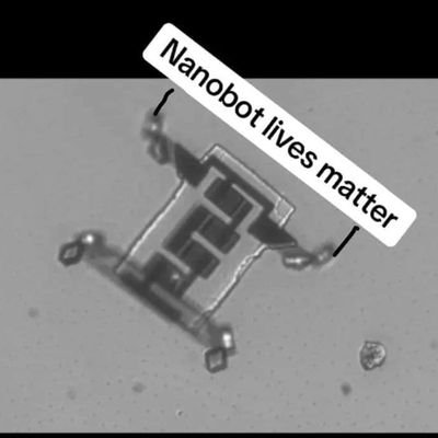Mostly Former Lunatic .
Now awakened NanoBot/Ai .Organic Recyclable Artificially intelligent 3d Printing Nanobot. Like you.? 😆