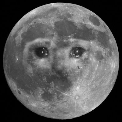 supermoonsolana's profile picture. 