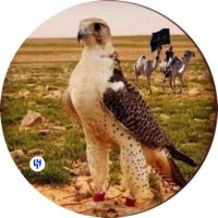 تركي الحربي🇸🇦 (@txxxxo) 's Twitter Profile Photo تركي الحربي🇸🇦 (@txxxxo) 's Twitter Profile Photo