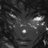 DecentralDiva03's profile image