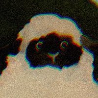 ひやま　きと (@hiyama_kito) 's Twitter Profile Photo