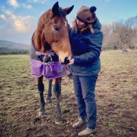 Emma Berry (@collingsberry) 's Twitter Profile
