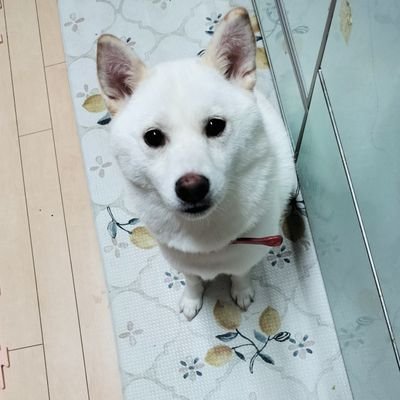 おとのはさんのプロフィール画像