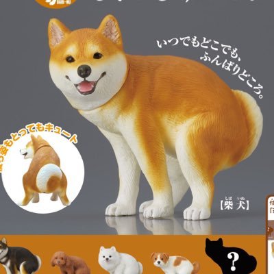 kairi807's profile picture. 転生先は石油王の愛猫希望、猫になりたい、犬になりたい、水になりたい、風になりたい