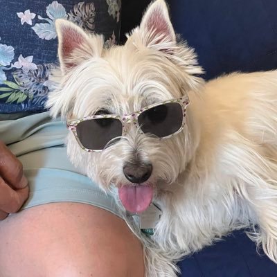 pmsgolf's profile picture. 