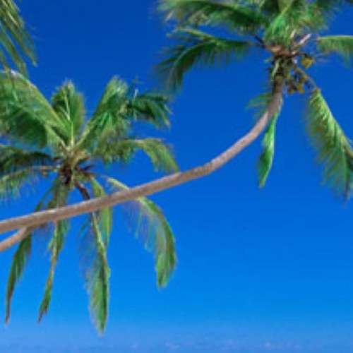 becks1269's profile picture. 