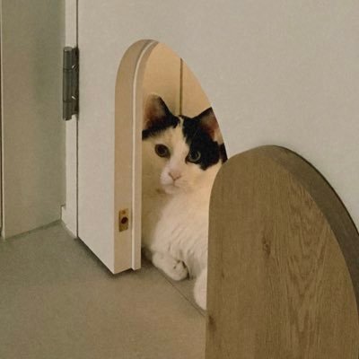 마늘감자랑, 강🐈 Profile