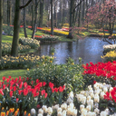 Debra Toms - @TomsDebra - Twitter