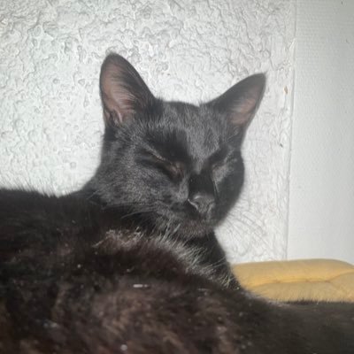 Mg433333's profile picture. Ta-da follow back