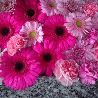 みー (@1racb) 's Twitter Profile