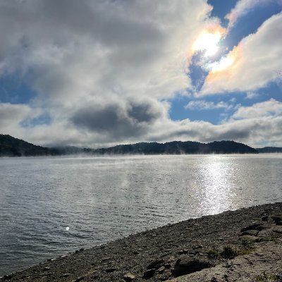 123Anderson4567's profile picture. 