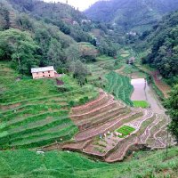 केपि बा🇳🇵🇳🇵🇳🇵 (@kamalda93172841) 's Twitter Profile