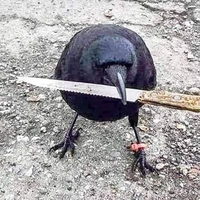 BastlWastl5's profile picture. CAW CAW crow with knife