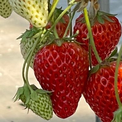 ako_hyty's profile picture. 