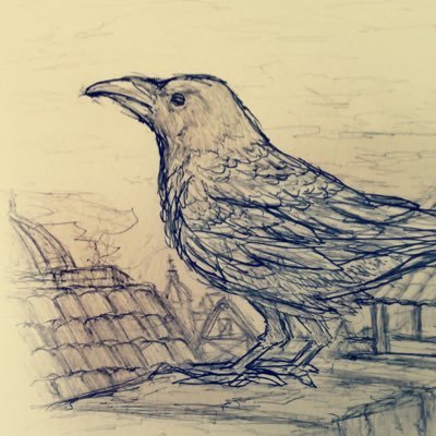 カマドnoタネさんのプロフィール画像