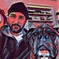 MyFriendTheOrangedog (@yotheorangedog) 's Twitter Profile Photo MyFriendTheOrangedog (@yotheorangedog) 's Twitter Profile Photo