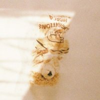 そばかす (@sobakasu0bake) 's Twitter Profile Photo そばかす (@sobakasu0bake) 's Twitter Profile Photo