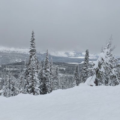 _itwasfun_'s profile picture. 