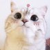 phanu (@phanu21599) Twitter profile photo phanu (@phanu21599) Twitter profile photo
