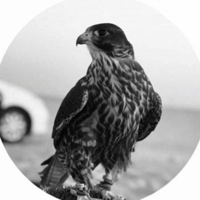 مصطفىさんのプロフィール画像