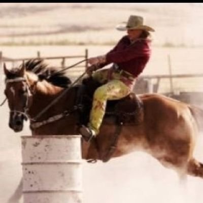Wiskey for my friends 🥃. Beer for my Horses 🍻 Native Floridian, avid animal lover. Voted for Trump/Vance 🇺🇸❤️ I make no apologies! DM = 🚫