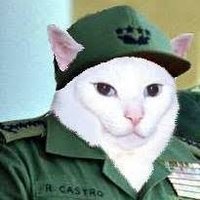 Fidel Catto (@thisis_gp_offl) 's Twitter Profile