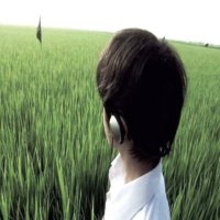 Mutus fou (@donchimoto) 's Twitter Profile Photo