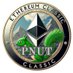 PNUT.ETC (@pnutetc) Twitter profile photo