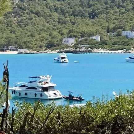 Alkan1480584's profile picture. 