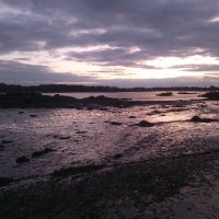 Ben S. (@bsoper47s) 's Twitter Profile