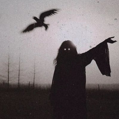 DarkFog258's profile picture. C’est la vie