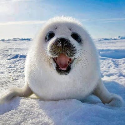 I'm just here to read the news. No DM happly married. No porn or bitcoin . MAGA supporter