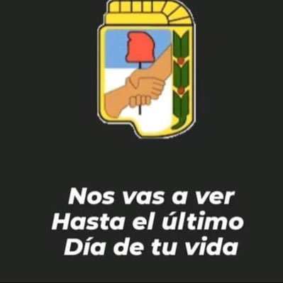 El peronismo ,la familia , los amigos y los gatos nos salvarán !!!