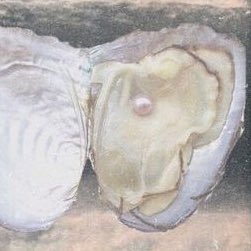 Romanさんのプロフィール画像