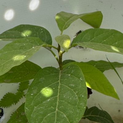 MarkSoonToWin1's profile picture. 