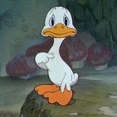 RocioOrue8's profile picture. 