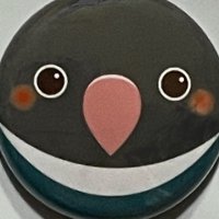 pipipi2017 (@pipipi20170521) Twitter profile photo