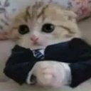kwertuc's profile picture. 