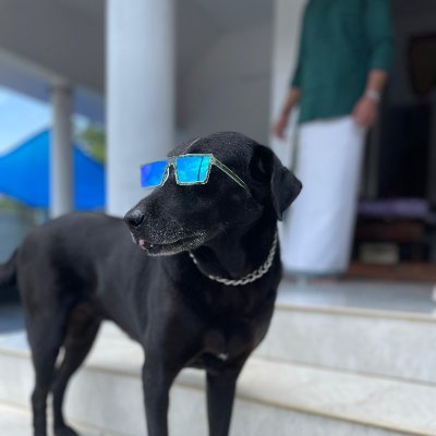 Godo38719883's profile picture. Nothing much!!