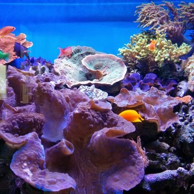 ayyaswamy_kmu's profile picture. 